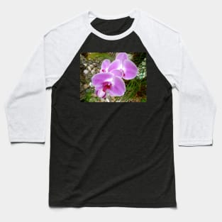 Lavender Orchid Baseball T-Shirt